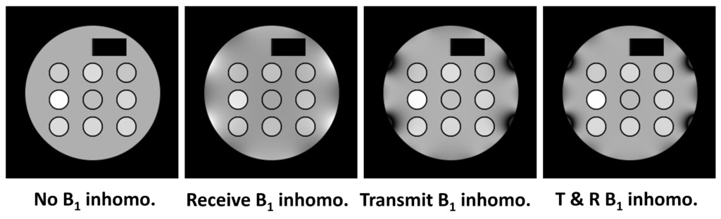 Inhomogeneity_of_RF_magnetic_field | BlochSolver
